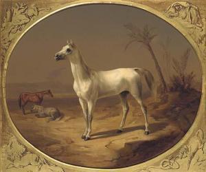 Theodor Horschelt A Grey Arabian Horse